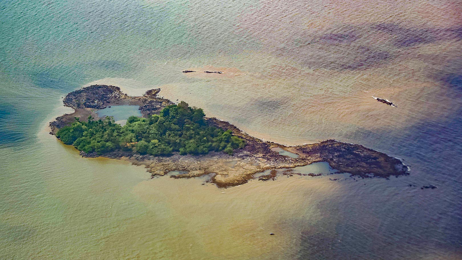 BR-319: a lição sombria da aprovação do petróleo na foz do Amazonas