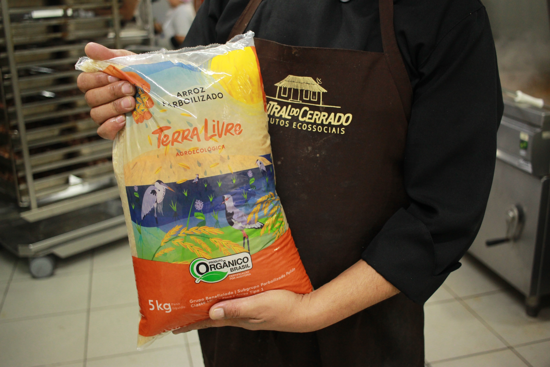 Como os alimentos da sociobiodiversidade brasileira fizeram história na COP30