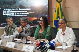 Desmatamento na Amazônia cai 11% e atinge menor valor em onze anos