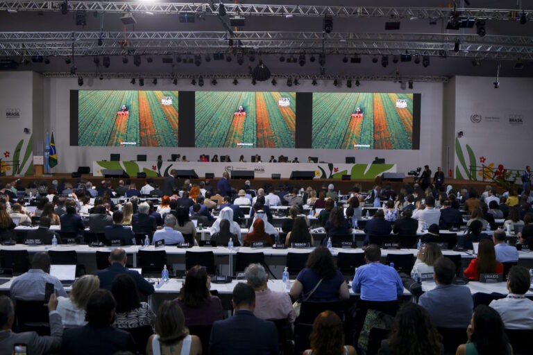 O sutil negacionismo fóssil do Brasil