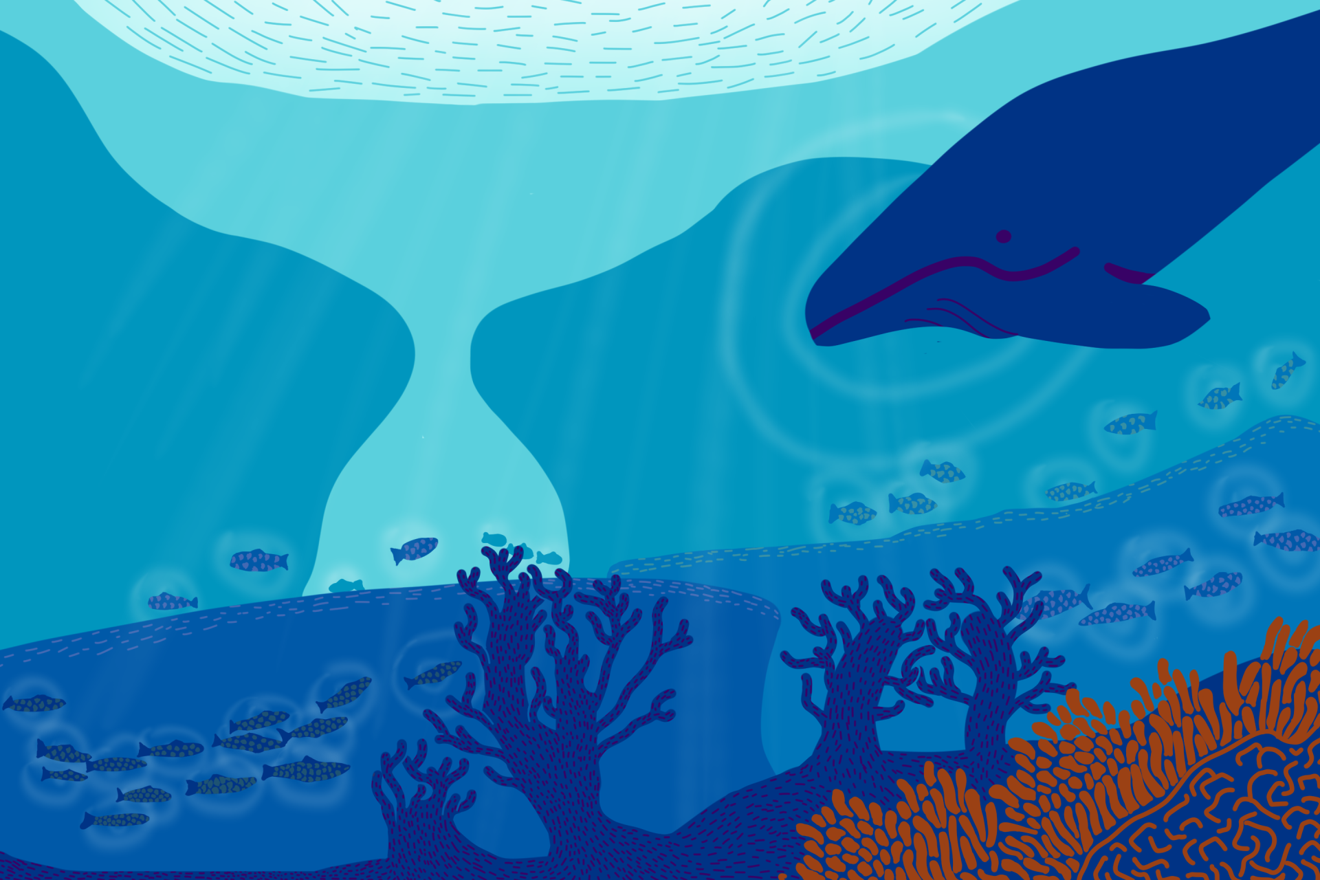 Sons do Mar: como arte e ciência podem se unir para a conservação do Oceano