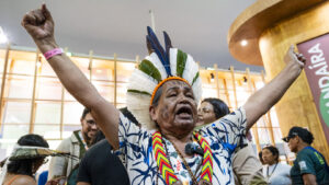 2025, o ano das grandes batalhas amazônicas