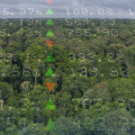 Crédito de carbono para florestas: – 1. Introdução à série
