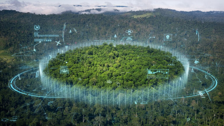 Crédito de carbono para florestas: - 3. vazamento, não permanência e contagem dupla