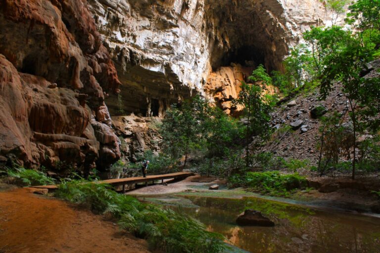 Nova regra pode tirar do “apagão” 2 mil áreas protegidas no Brasil