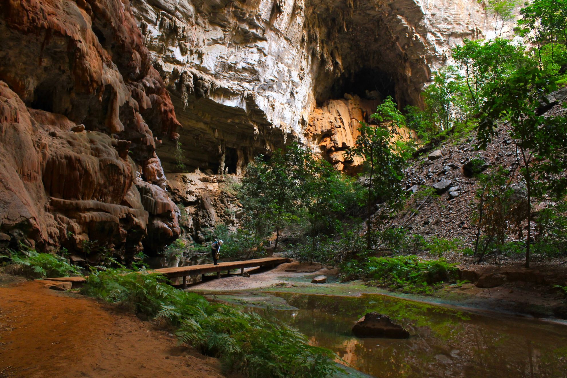 Nova regra pode tirar do “apagão” 2 mil áreas protegidas no Brasil
