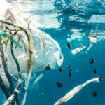 Quase a metade dos ambientes aquáticos do mundo está gravemente contaminada por lixo