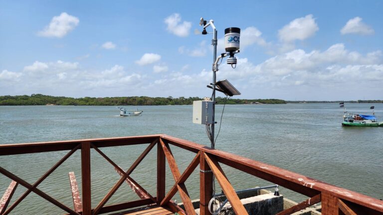 Resex do Marajó alia tecnologia à conservação para proteger biodiversidade