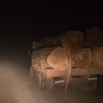 Setor madeireiro do Amazonas cresce à sombra do desmatamento ilegal 