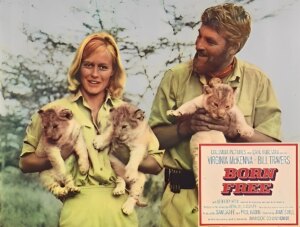 A reabilitação de Elsa - ((o))eco