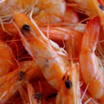 Após pressão da pesca de camarão, governo adia para 2027 entrada em vigor do PREPS