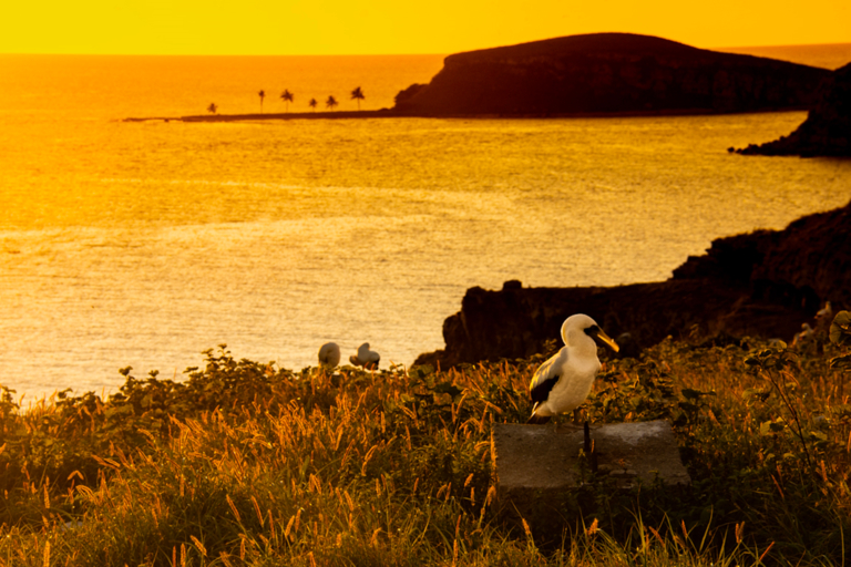 As cores, vidas e luzes de Abrolhos