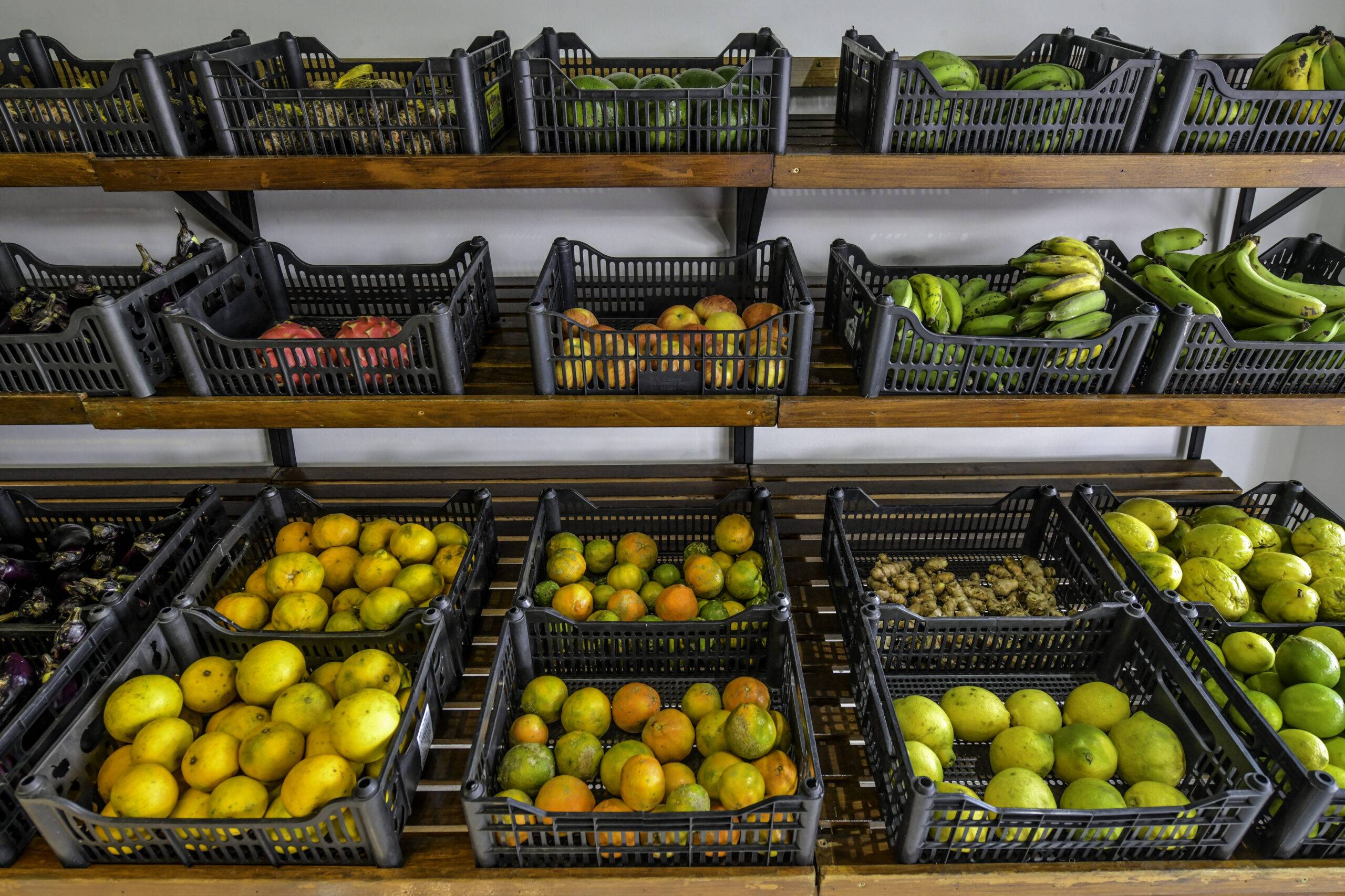 Autogestão comunitária como princípio de Justiça Ambiental