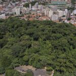 Caminhos para a integração da Ecologia com a Sociobiodiversidade