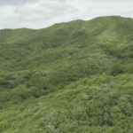 Conheça as cinco novas unidades de conservação do Ceará