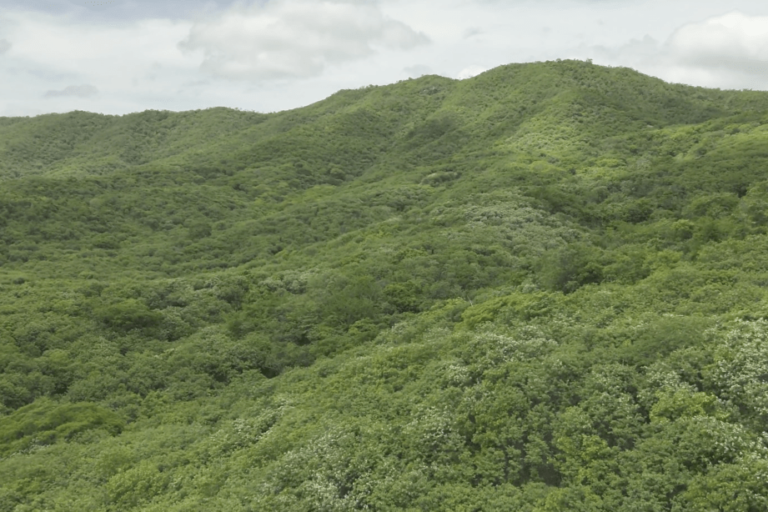 Conheça as cinco novas unidades de conservação do Ceará