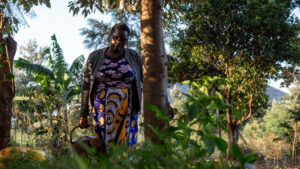 Crédito de carbono para florestas: - 4. Cobenefícios sociais e de biodiversidade