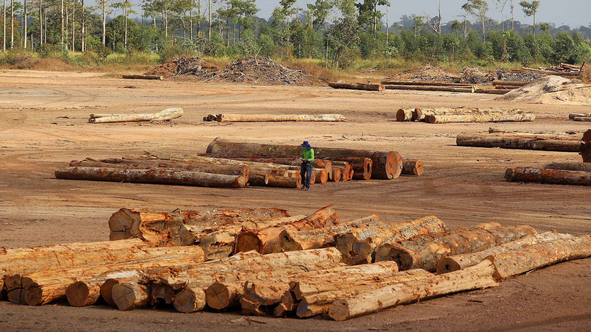 Crédito de carbono para florestas: – 6. Degradação florestal (o “D esquecido”)