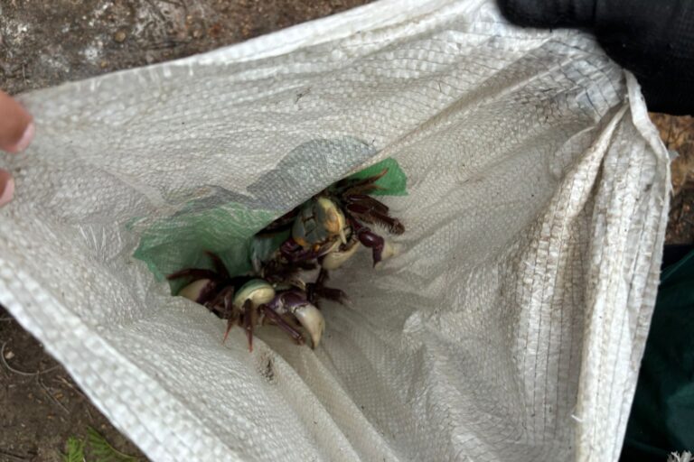 “Má influência”: três influenciadores são detidos por pesca ilegal no RJ