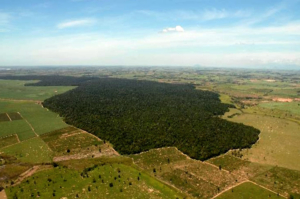 No final, deu certo!