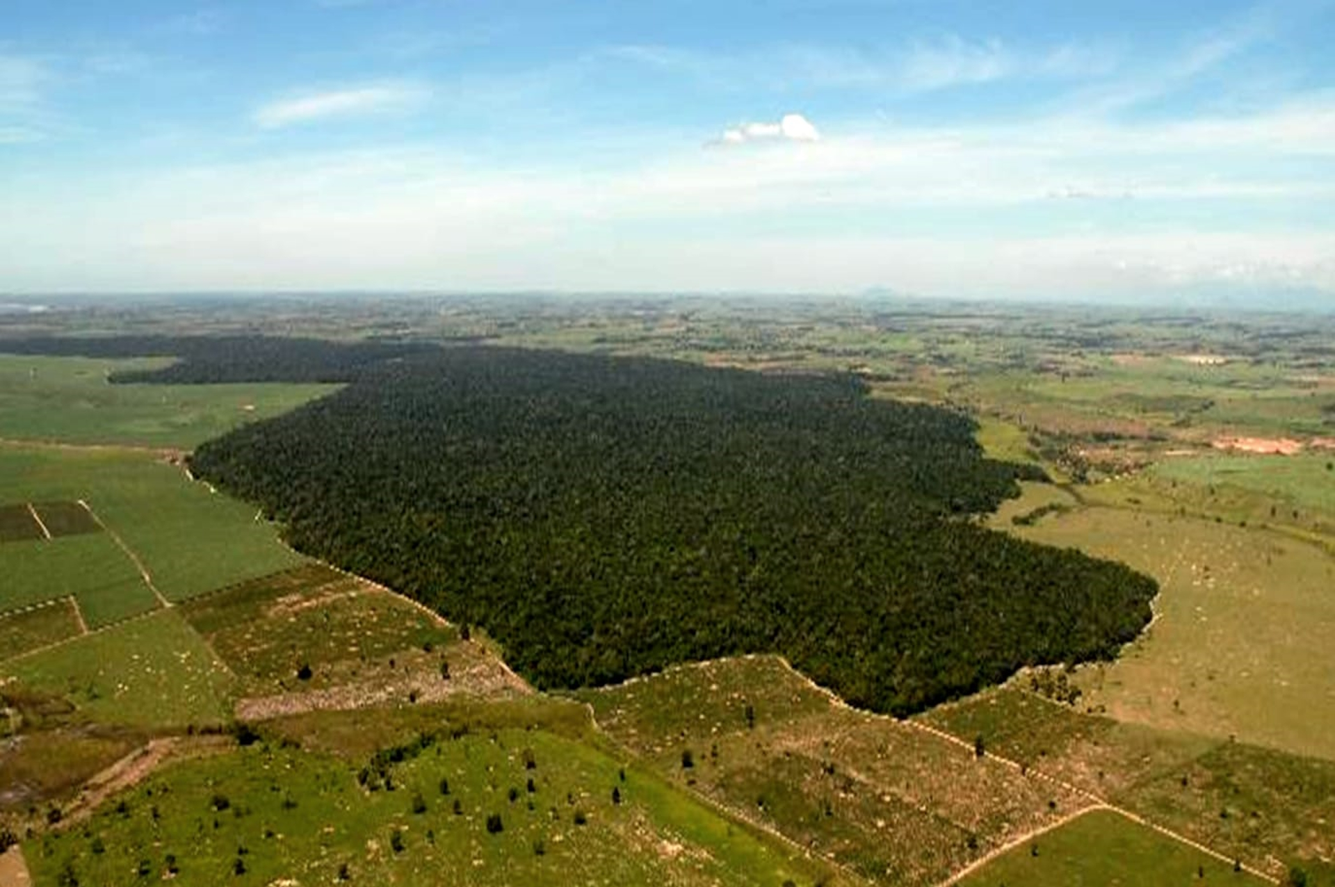 No final, deu certo!