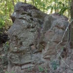 Paleontólogos pedem proteção da Floresta Petrificada de Altos, no Piauí