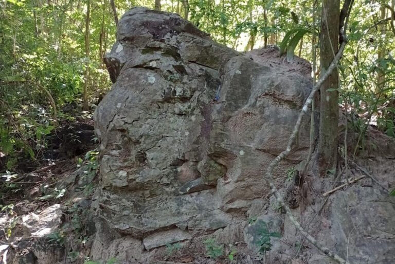 Paleontólogos pedem proteção da Floresta Petrificada de Altos, no Piauí