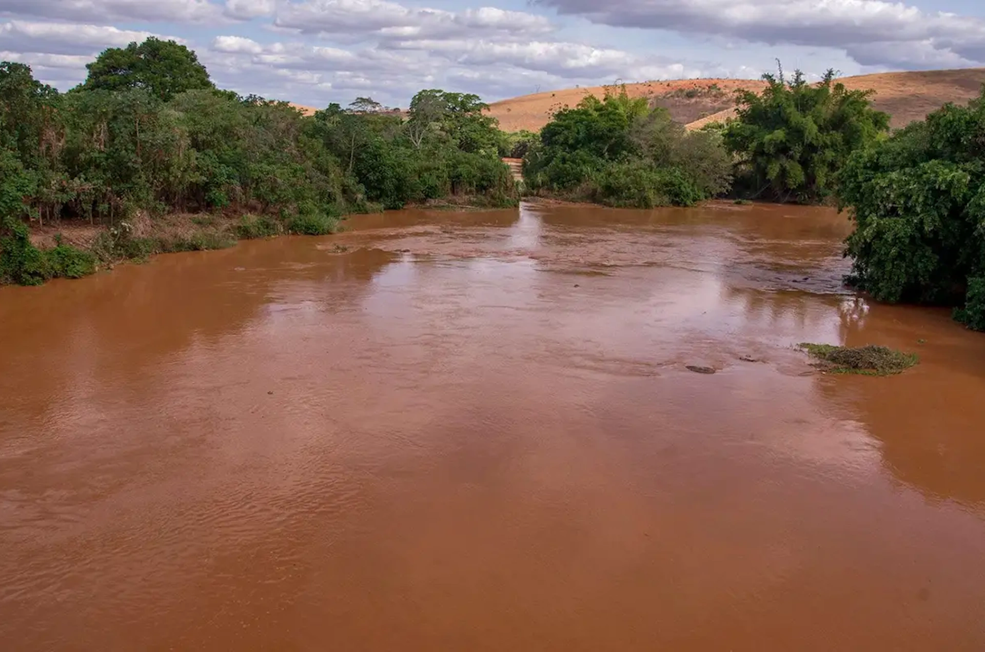 Peixes do rio Doce continuavam contaminados quatro anos após desastre de Mariana
