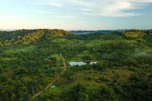 Restauração de paisagens: estratégia inadiável para o desenvolvimento sustentável nacional