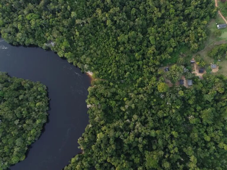 Unidades de conservação da Amazônia registram menor desmatamento desde 2014