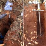 Brasil perdeu 1,4 bilhão de toneladas de carbono do solo por conversão de áreas naturais à agricultura