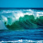 Como transformar a meta 30×30 de um slogan político para uma realidade ecológica