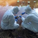 Desregulamentação ambiental, BR-319 e mineração de potássio como iminentes riscos à saúde global