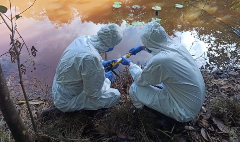 Desregulamentação ambiental, BR-319 e mineração de potássio como iminentes riscos à saúde global