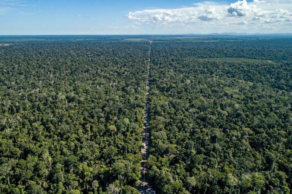 Espírito Santo institui plano estadual de restauração alinhado ao PLANAVEG