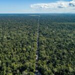 Espírito Santo institui plano estadual de restauração alinhado ao PLANAVEG