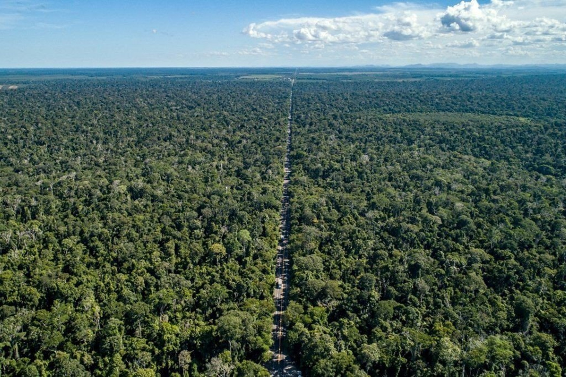 Espírito Santo institui plano estadual de restauração alinhado ao PLANAVEG