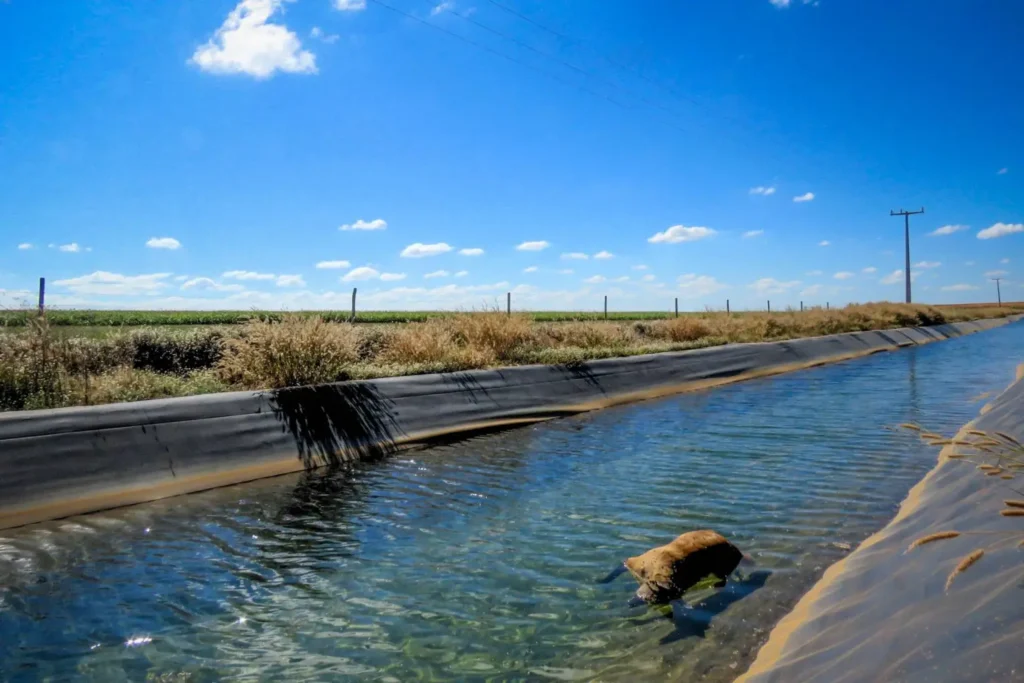 Inação do governo baiano segue afogando animais silvestres em polo do agronegócio
