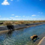 Inação do governo baiano segue afogando animais silvestres em polo do agronegócio