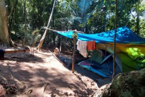 MPF pressiona por ordenamento em área esquecida do Parque Nacional da Tijuca