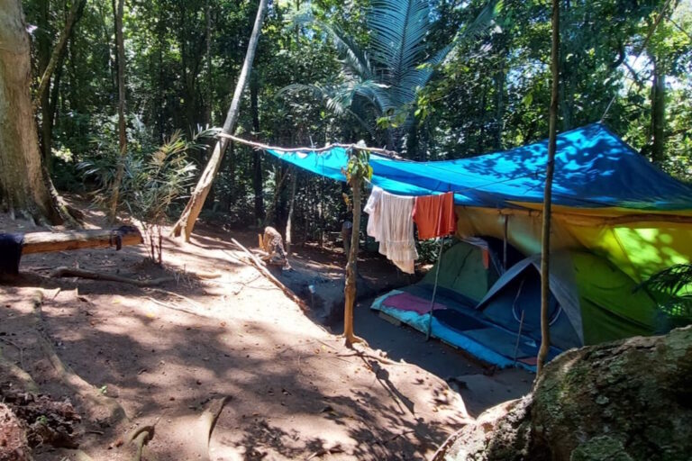 MPF pressiona por ordenamento em área esquecida do Parque Nacional da Tijuca