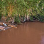 Mariana e o colapso da pesca artesanal