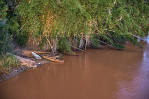 Mariana e o colapso da pesca artesanal