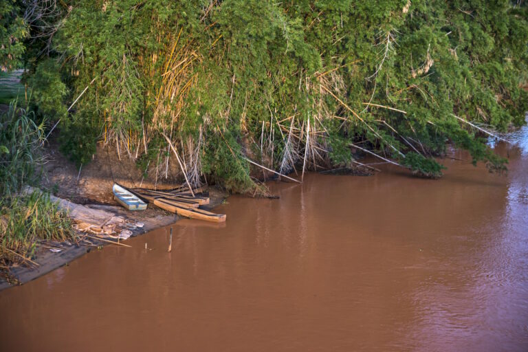 Mariana e o colapso da pesca artesanal