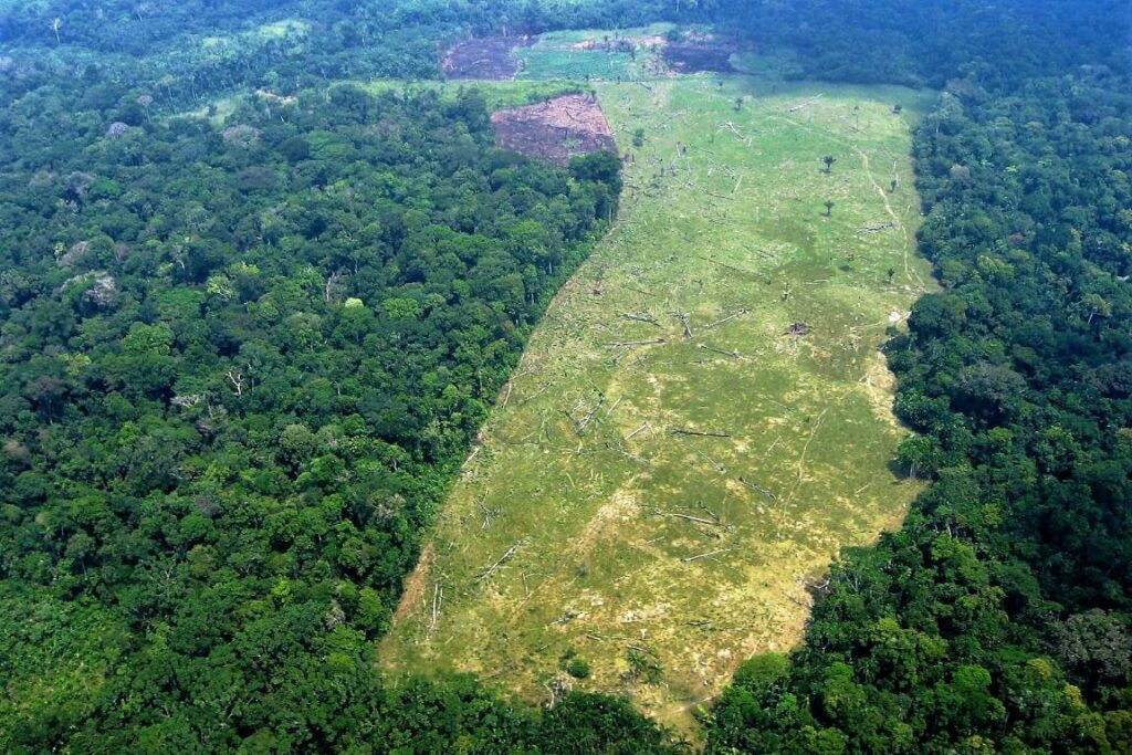 Nova Lei Geral do Licenciamento Ambiental entra em vigor