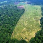 Nova Lei Geral do Licenciamento Ambiental entra em vigor