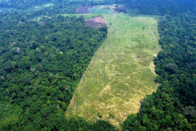 Nova Lei Geral do Licenciamento Ambiental entra em vigor