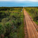 O Brasil põe em risco o clima e a saúde globais