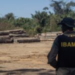 O fim das multas ambientais tradicionais e o início de uma nova era de reparação ambiental