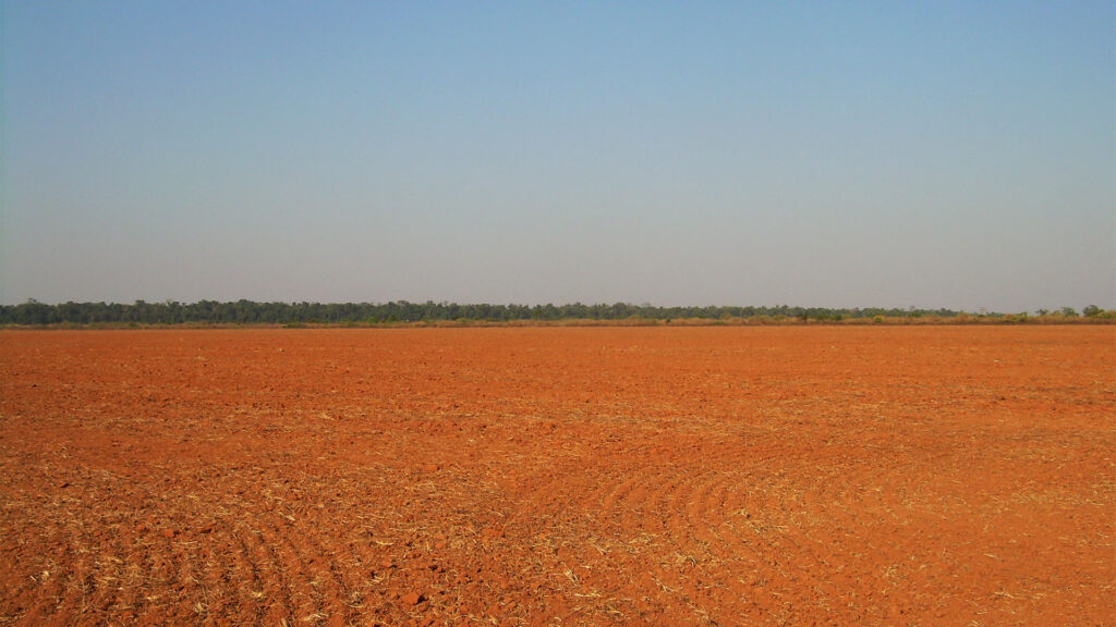 Reviver a moratória da soja